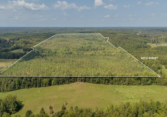 Photo 2 of Sale Pending at 0 Terry Hair Rd, Adamsville, TN 38310 | MLS# 3545550 | Listing updated on 2026-10-02