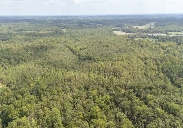 Photo 4 of Sale Pending at 0 Terry Hair Rd, Adamsville, TN 38310 | MLS# 3545550 | Listing updated on 2026-10-02