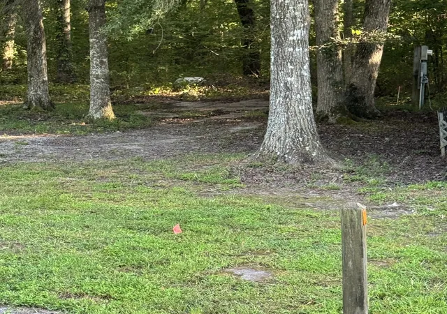 Photo 3 of Land for sale at 343 Spring Cir, Beechgrove, TN 37018 | MLS# 3612159 | Listing updated on 2026-10-06