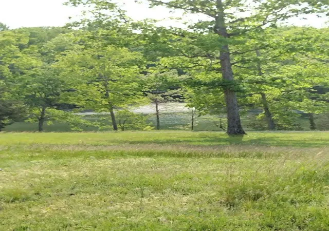 Photo 2 of Land for sale at 0 S Hidden Valley Rd, Nunnelly, TN 37137 | MLS# 3602187 | Listing updated on 2026-10-08
