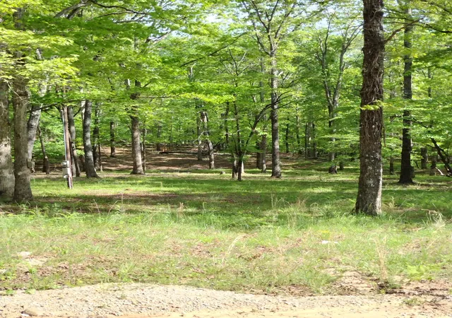 Photo 3 of Land for sale at 0 S Hidden Valley Rd, Nunnelly, TN 37137 | MLS# 3602187 | Listing updated on 2026-10-08