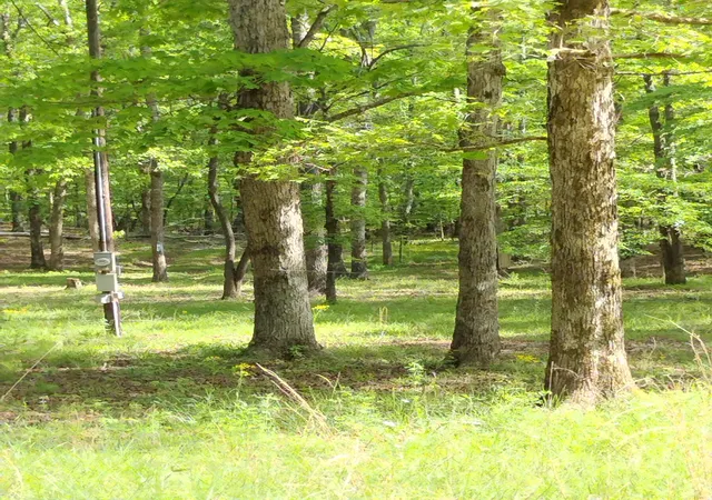 Photo 3 of Land for sale at 0 S Hidden Valley Rd, Nunnelly, TN 37137 | MLS# 3602187 | Listing updated on 2026-10-08