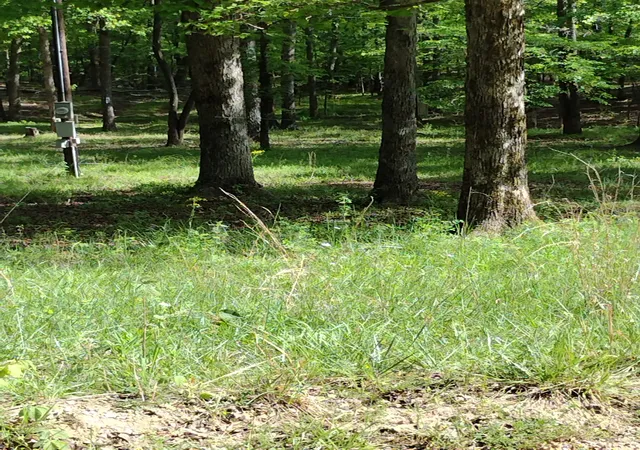 Photo 4 of Land for sale at 0 S Hidden Valley Rd, Nunnelly, TN 37137 | MLS# 3602187 | Listing updated on 2026-10-08