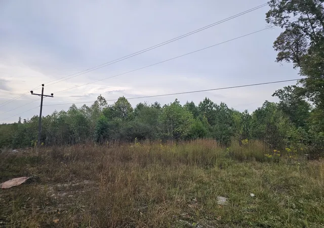 Photo 3 of Land for sale at 0 Sr 56, Tracy City, TN 37387 | MLS# 3546179 | Listing updated on 2026-09-21