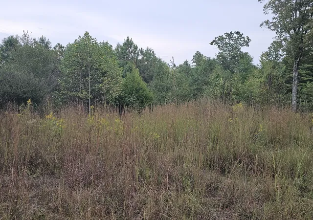 Photo 4 of Land for sale at 0 Sr 56, Tracy City, TN 37387 | MLS# 3546179 | Listing updated on 2026-09-21