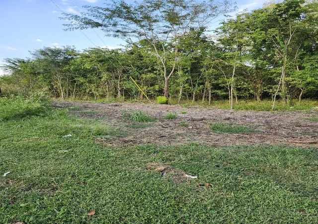 Photo 3 of Land for sale at 683 Battle Rd, Nolensville, TN 37135 | MLS# 3546238 | Listing updated on 2026-09-23