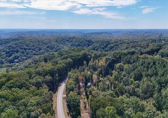 Photo 2 of Land for sale at 8775 Birdsong Rd, Holladay, TN 38341 | MLS# 3610150 | Listing updated on 2026-10-02