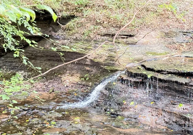 Photo 1 of Land for sale at 0 Hohenwald Hwy, Waynesboro, TN 38485 | MLS# 3547055 | Listing updated on 2026-09-12