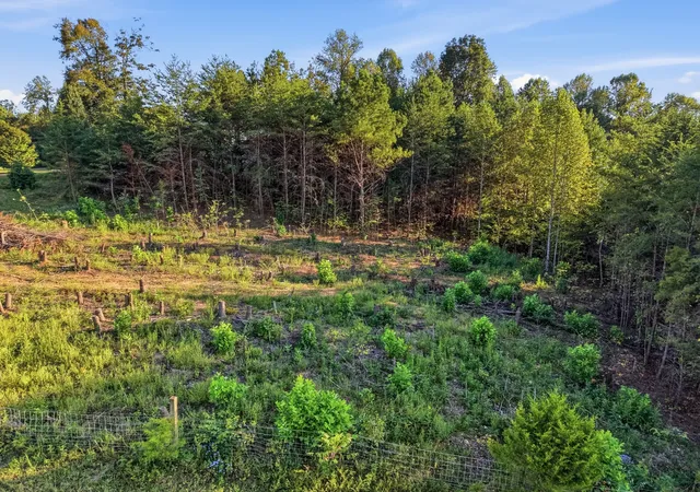 Photo 2 of Land for sale at 137 Vaughn Ln, Livingston, TN 38570 | MLS# 3547059 | Listing updated on 2026-10-05