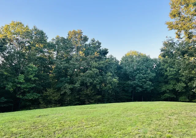 Photo 3 of Land for sale at 545 Deepwood Dr, Waverly, TN 37185 | MLS# 3547040 | Listing updated on 2026-09-12