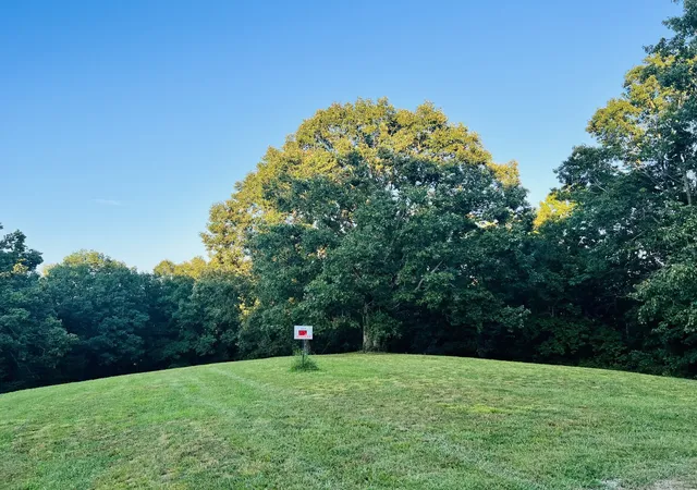 Photo 4 of Land for sale at 545 Deepwood Dr, Waverly, TN 37185 | MLS# 3547040 | Listing updated on 2026-09-12