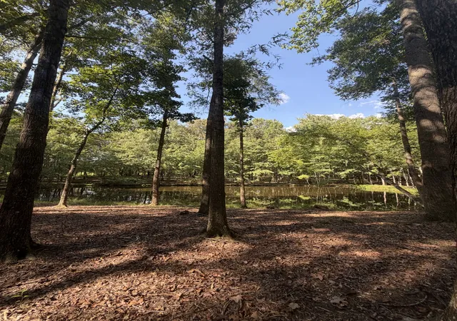 Land for sale at 0 Lakewood Park Dr, Beechgrove, TN 37018 | MLS# 3547057