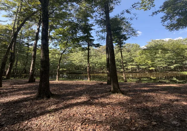Photo 2 of Land for sale at 0 Lakewood Park Dr, Beechgrove, TN 37018 | MLS# 3547057 | Listing updated on 2026-09-12