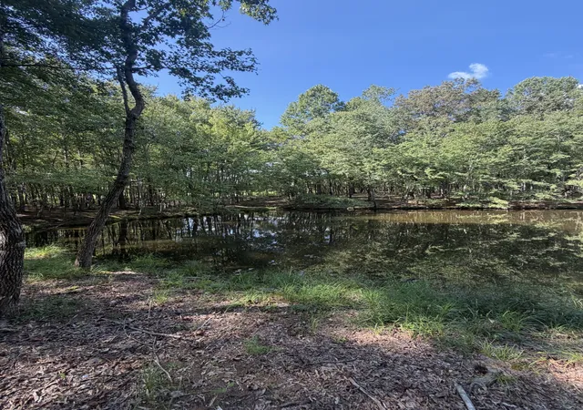 Photo 3 of Land for sale at 0 Lakewood Park Dr, Beechgrove, TN 37018 | MLS# 3547057 | Listing updated on 2026-09-12