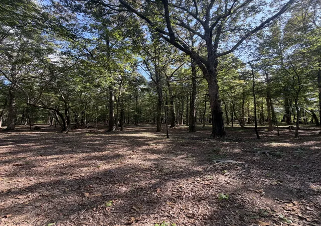 Photo 3 of Land for sale at 0 Lakewood Park Dr, Beechgrove, TN 37018 | MLS# 3547057 | Listing updated on 2026-09-12
