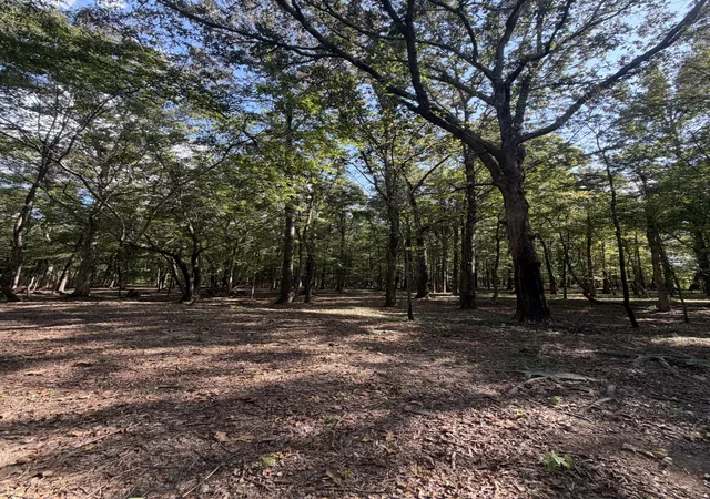 Photo 4 of Land for sale at 0 Lakewood Park Dr, Beechgrove, TN 37018 | MLS# 3547057 | Listing updated on 2026-09-12