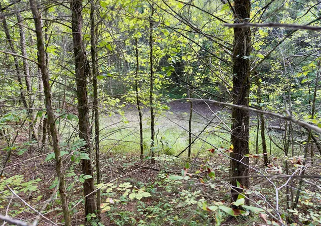 Photo 17 of Land for sale at 0 Vassar Rd, Bradyville, TN 37026 | MLS# 3547123 | Listing updated on 2026-09-13