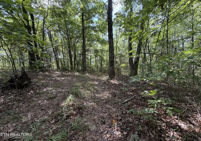 Photo 2 of Land for sale at 361 Long View Ln, Jamestown, TN 38556 | MLS# 3547096 | Listing updated on 2026-10-06
