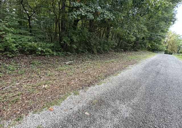 Photo 3 of Land for sale at 361 Long View Ln, Jamestown, TN 38556 | MLS# 3547096 | Listing updated on 2026-10-06