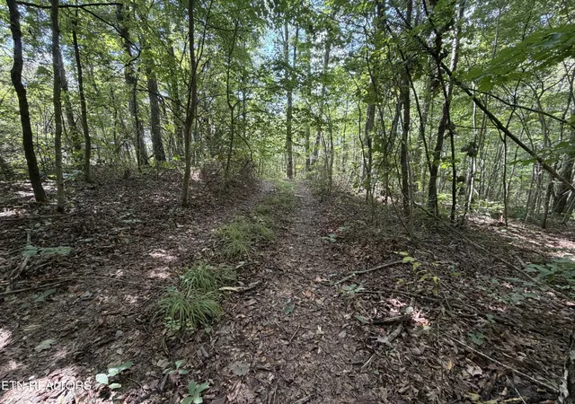Photo 3 of Land for sale at 361 Long View Ln, Jamestown, TN 38556 | MLS# 3547096 | Listing updated on 2026-10-06