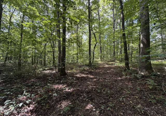 Photo 4 of Land for sale at 361 Long View Ln, Jamestown, TN 38556 | MLS# 3547096 | Listing updated on 2026-10-06