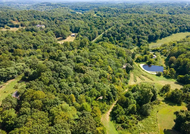 Photo 3 of Land for sale at 2311 Blue Branch Rd, Lynnville, TN 38472 | MLS# 3547124 | Listing updated on 2026-09-12