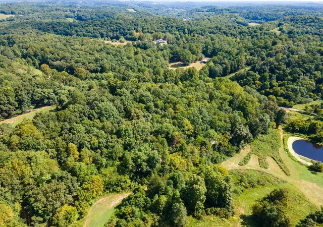 Photo 4 of Land for sale at 2311 Blue Branch Rd, Lynnville, TN 38472 | MLS# 3547124 | Listing updated on 2026-09-12