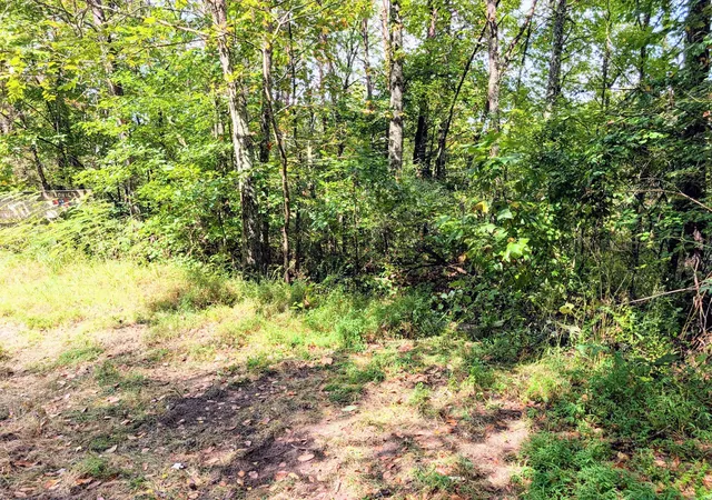 Photo 2 of Land for sale at 0 Man St, Tracy City, TN 37387 | MLS# 3598953 | Listing updated on 2026-09-24