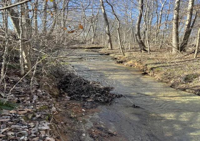 Photo 1 of Land for sale at 4061 Sawmill Rd, Woodlawn, TN 37191 | MLS# 3547804 | Listing updated on 2026-09-22