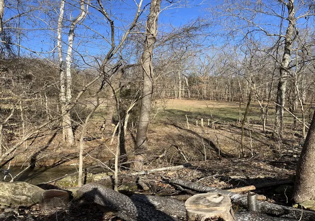 Photo 3 of Land for sale at 4061 Sawmill Rd, Woodlawn, TN 37191 | MLS# 3547804 | Listing updated on 2026-09-22