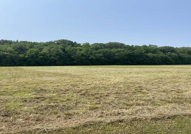 Photo 4 of Land for sale at 0 River Front Dr, Clifton, TN 38425 | MLS# 3547746 | Listing updated on 2026-09-13