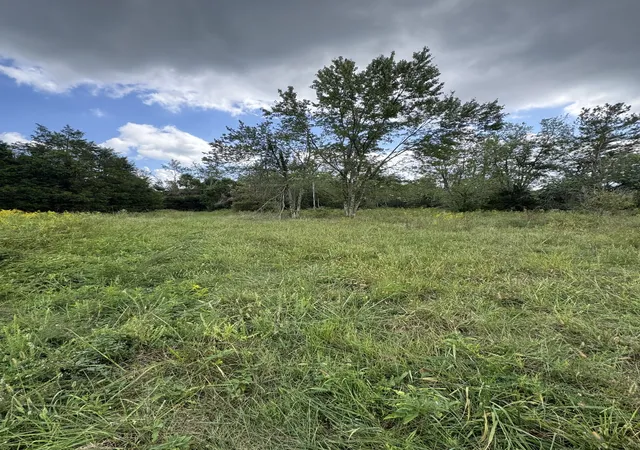 Photo 2 of Land for sale at 216 Running Meadows Rd, Portland, TN 37148 | MLS# 3547826 | Listing updated on 2026-09-15