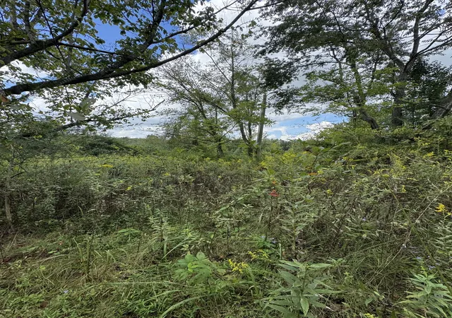 Photo 3 of Land for sale at 216 Running Meadows Rd, Portland, TN 37148 | MLS# 3547826 | Listing updated on 2026-09-15