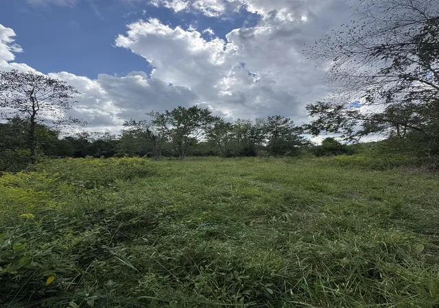 Photo 3 of Land for sale at 216 Running Meadows Rd, Portland, TN 37148 | MLS# 3547826 | Listing updated on 2026-09-15