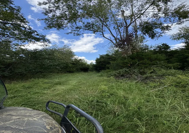 Photo 4 of Land for sale at 216 Running Meadows Rd, Portland, TN 37148 | MLS# 3547826 | Listing updated on 2026-09-15