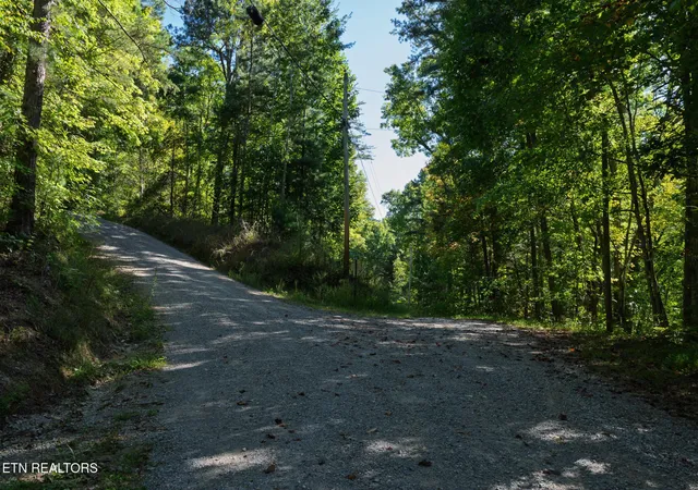 Photo 3 of Land for sale at 0 Walnut Flats Rd, Walland, TN 37886 | MLS# 3547806 | Listing updated on 2026-10-02