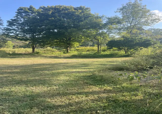 Photo 4 of Land for sale at 3782 Bear Crk Rd, Thompsons Station, TN 37179 | MLS# 3591968 | Listing updated on 2026-09-15