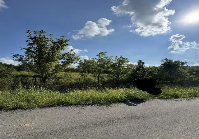 Photo 1 of Land for sale at 230 Running Meadows Rd, Portland, TN 37148 | MLS# 3547827 | Listing updated on 2026-09-15
