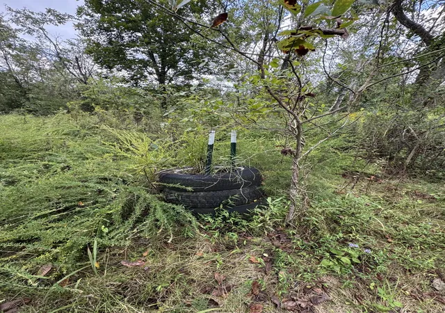 Photo 4 of Land for sale at 230 Running Meadows Rd, Portland, TN 37148 | MLS# 3547827 | Listing updated on 2026-09-15