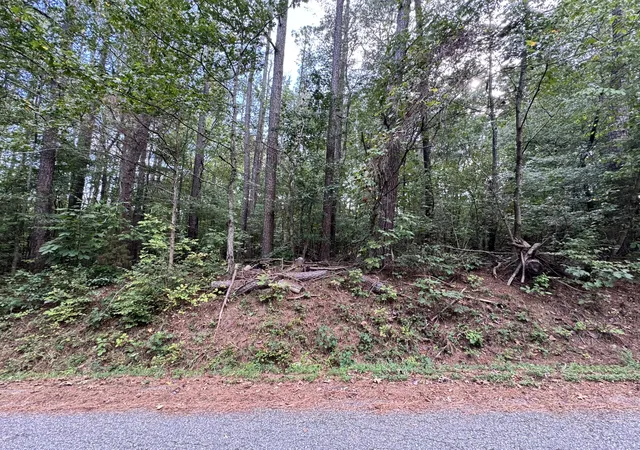 Photo 1 of Land for sale at 0 Forest Trl, Bumpus Mills, TN 37028 | MLS# 3601851 | Listing updated on 2026-09-28