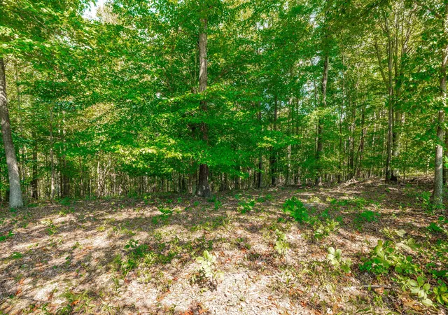 Photo 2 of Land for sale at 0 Spring Holw Rd, Lafayette, TN 37083 | MLS# 3592088 | Listing updated on 2026-10-07