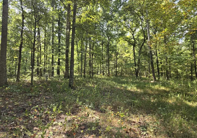 Land for sale at 5510 Garrison Springs Ct, Franklin, TN 37064 | MLS# 3596890