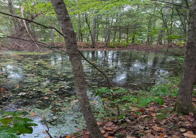Photo 1 of Land for sale at 1260 Hillcrest Rd, Dickson, TN 37055 | MLS# 3591896 | Listing updated on 2026-10-05