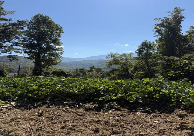 Photo 2 of Land for sale at 837 Clabo Loop, Gatlinburg, TN 37738 | MLS# 3592068 | Listing updated on 2026-10-01