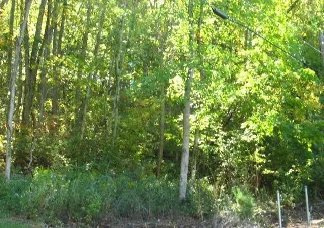 Photo 2 of Land for sale at 208 Aparna Ct, Whites Creek, TN 37189 | MLS# 3592079 | Listing updated on 2026-09-15