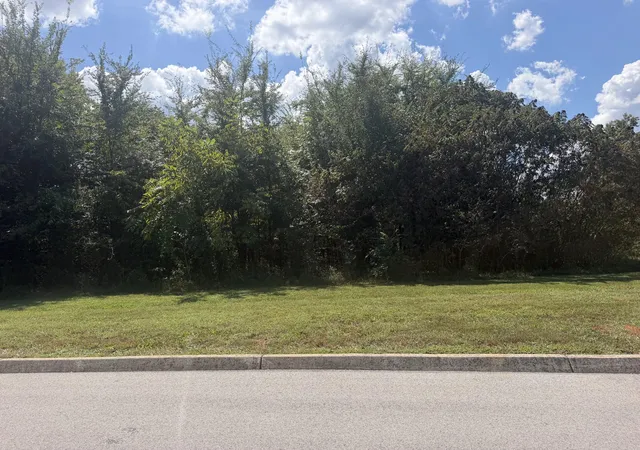 Photo 3 of Land for sale at 0 Falcon Trl, Vonore, TN 37885 | MLS# 3592104 | Listing updated on 2026-09-15