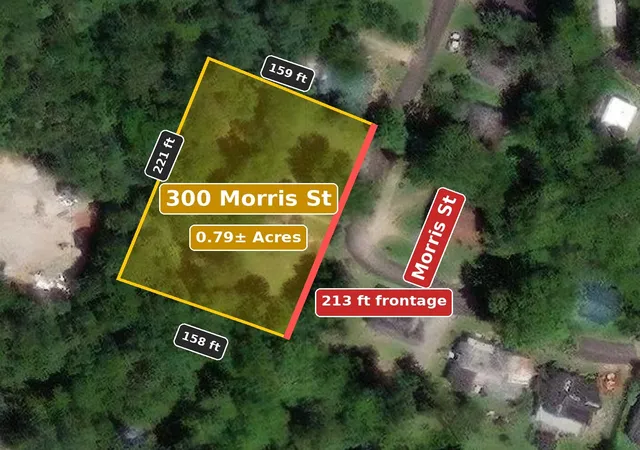 Photo 1 of Land for sale at 300 Morris St, Pulaski, TN 38478 | MLS# 3592816 | Listing updated on 2026-09-24