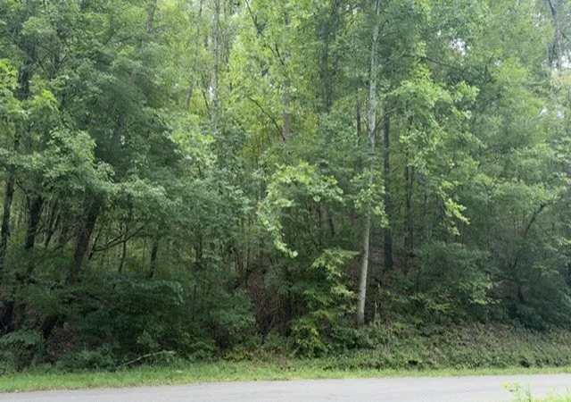 Photo 2 of Land for sale at 0 Brush Crk Rd, Lawrenceburg, TN 38464 | MLS# 3592374 | Listing updated on 2026-09-18
