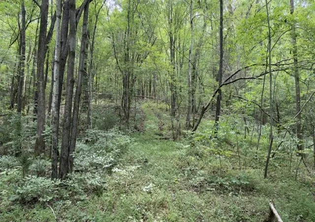 Photo 3 of Land for sale at 0 Brush Crk Rd, Lawrenceburg, TN 38464 | MLS# 3592374 | Listing updated on 2026-09-18