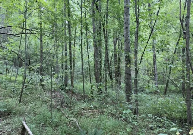Photo 4 of House for sale at 0 Brush Crk Rd, Lawrenceburg, TN 38464 | MLS# 3592374 | Listing updated on 2026-09-18